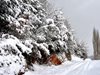 Снежен хаос в Сърбия - няколко села са затрупани и без ток