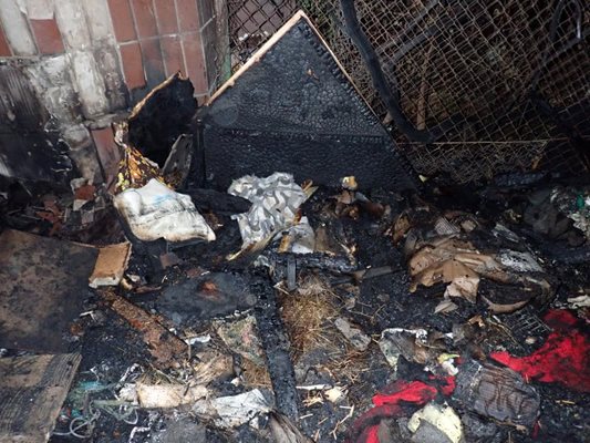 Изгоря приют за котки в Киев. СНИМКИ: Полицията на Киев