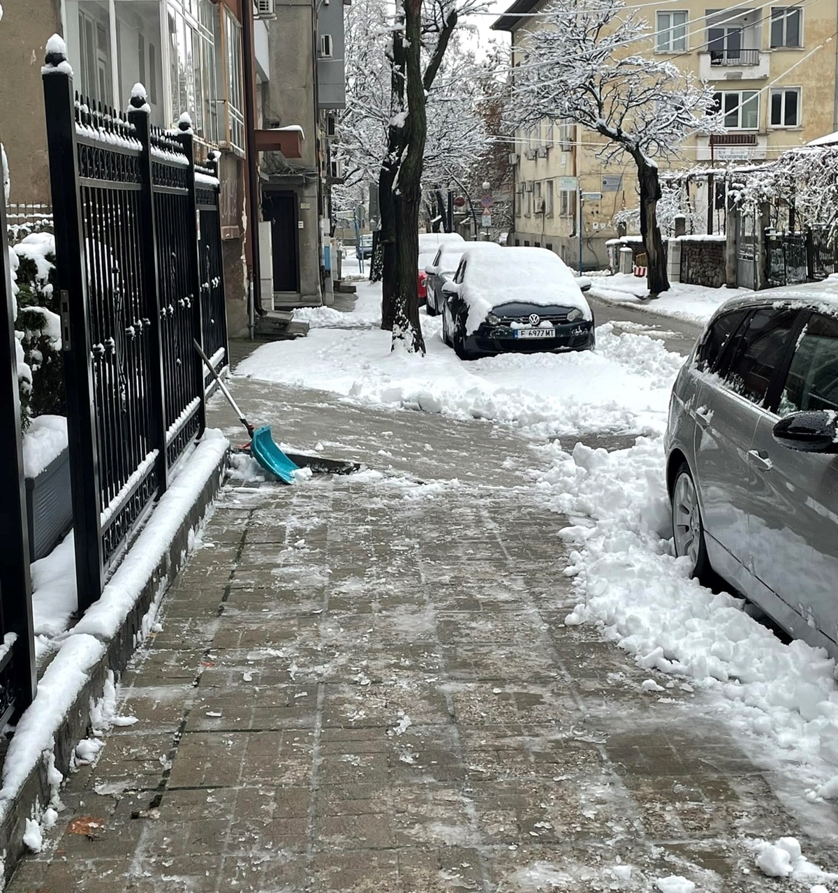 Паднали дървета, скъсани кабели и непроходими пътища към села в Благоевградско