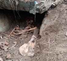 Правят спасителни разкопки  на средновековния некропол открит край Неделино
