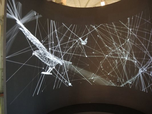 Птиците на Леонардо също са част от мрежата, в която е свързан светът.