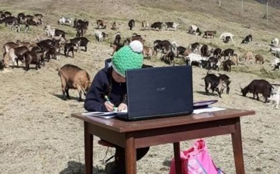 Фиамета учи дистанционно сред козите на баща си на 1000 м височина до Тренто 
