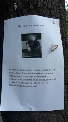 Търси се изгубено плюшено мече