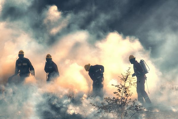 Голям пожар възникна до харманлийското село Черепово  
СНИМКА: Пиксабей