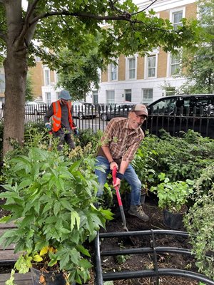 Княз Кирил участва като доброволец в благотворително събитие за събиране на средства, като цял ден засажда растения в Източен Лондон.