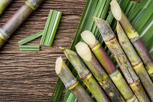 В биоразградима туба от захарна тръстика - натурални продукти за тяло
