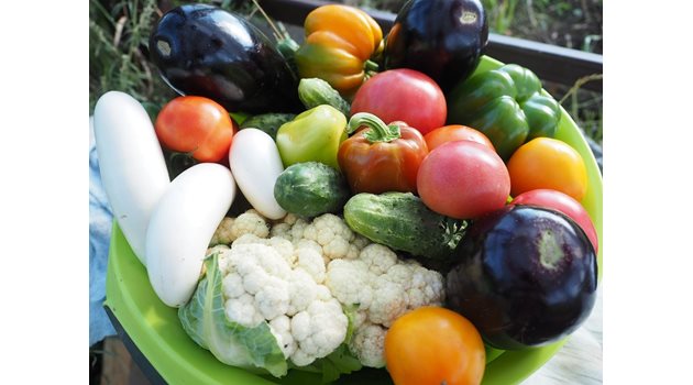 Зеленчуците с различни цветове ни зареждат с различни вещества и минерали. 
СНИМКА: ПИКСАБЕЙ