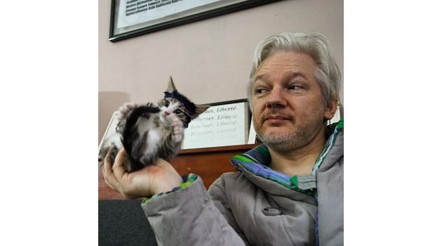 През 2016 г. Асанж започна да живее с котката Кет-стро, но появата и? не беше приета добре от служителите на посолството.