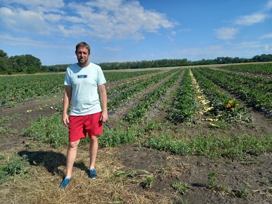 Земеделецът Иван Василев от Садово, чиято реколта от тикви бе унищожена от градушката ще получи помощ от държавата.

СНИМКА: Архив.