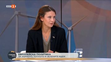 Цветелина Пенкова: Действията на правителството без план не решават проблемите