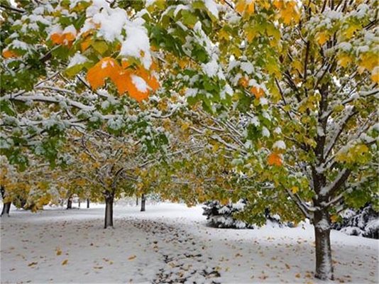 От минус 14° до 18° през декември, след 3-ти и сняг
