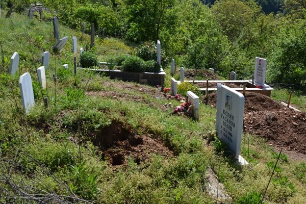 Гроб в село Лозенградци, изровен от диви прасета.  СНИМКИ НЕНКО СТАНЕВ