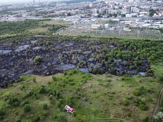 A fire is burning at the foot of Vitosha PHOTO: Georgi Paleykov