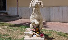 Вижте невероятната история на кучето Лампо, на което издигнаха паметник в Тоскана