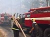 2000 декара унищожени гори и щети за 2 млн. лв. след пожара край Ардино