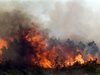 Общо 1030 хектара гори са изгорели при горски пожари в Западна и Южна Турция