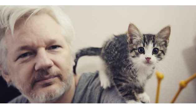 През 2016 г. Асанж започна да живее с котката Кет-стро, но появата и? не беше приета добре от служителите на посолството.