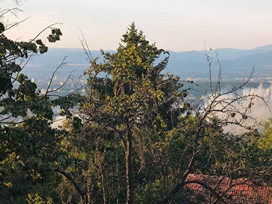 A fire is burning at the foot of Vitosha PHOTO: Facebook/ Kv.  Simeonovo