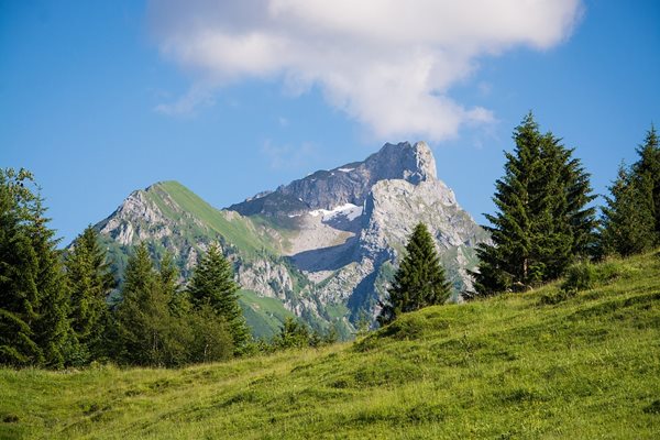 Чудесни са условията за туризъм в планините. СНИМКА: Pixabay