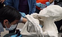 Древните извънземни:  В Наска откриват изцяло запазено тяло на пришълец на 1800 години