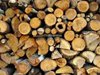 Конфискуваха 17 кубика незаконни
дърва за огрев при акция в Павликенско