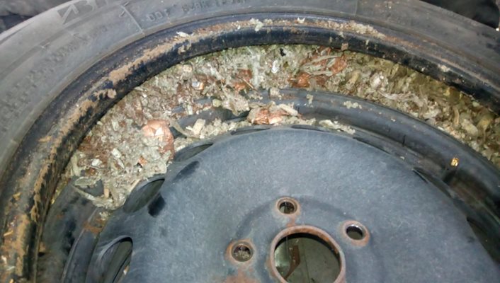 Хванаха контрабандни цигари, скрити в гумите на автомобил
Снимка: агенция "Митници"
