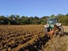 Разкриха тракторист от монтанското село Комощица, присвоил 6,7 тона зърно
