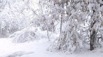 5 часа без ток остана част от Северозапада