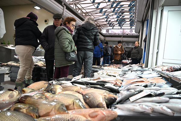 рибната борса във Варна
Снимка: Орлин Цанев