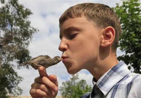 Врабче се влюби в момче