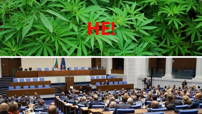 Според мнозинството депутати нямало как да се провери дали е насаден индустриален коноп или марихуана