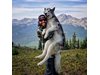 Необикновено приятелство: С Мит Локи по заснежени върхове на Колорадо (галерия)
