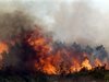 Пожар изпепели десетки декари край Враца и Ловеч