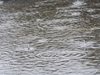 Къщите на три улици във Видин се наводняват, засипан е отводнителен канал