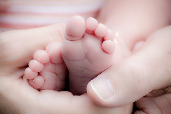 Няма изгледи синтетичните ембриони да бъдат използвани в близко бъдеще в клиничната практика.