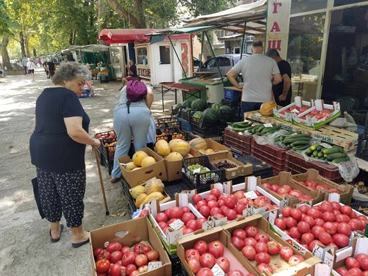 Жена поглежда етикетите на доматите по пазара на ул. "Младежка" в Пловдив.