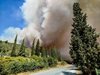 Горски пожар лумна на гръцкия остров Евия (Снимки)