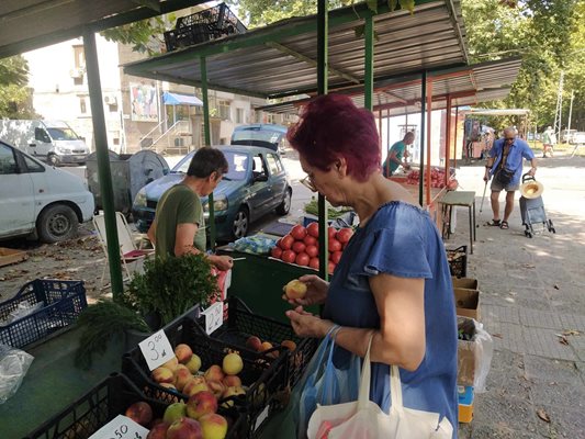 Пловдивчанка си купи дребни праскови за 3 лева килограмът.