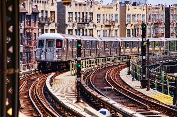 Спряха метрото в Ню Йорк заради две дървеници