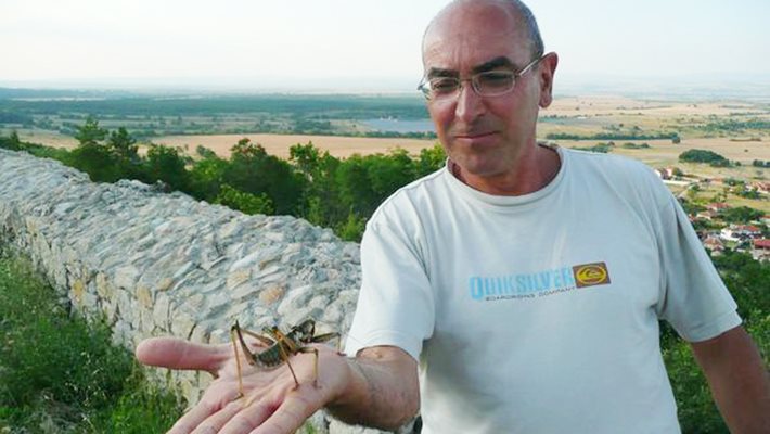 Красимир държи в ръка огромния скакалец
/ Снимки: Фейсбук / Насекомите и ентомолозите