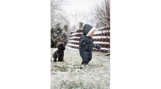 Снеговалеж Снимка: Пиксабей