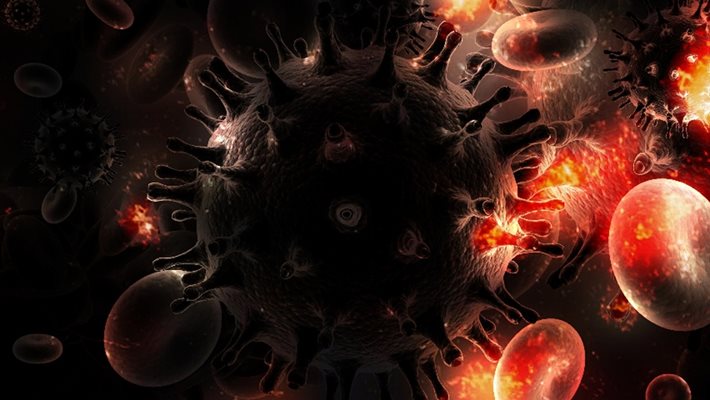 Проучване: Вируси на милиони години помагат в борбата с рака