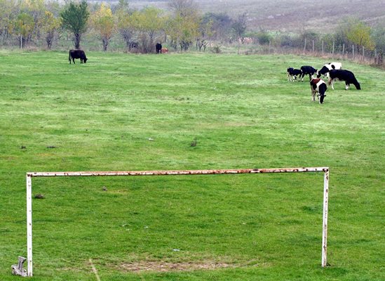 Стара футболна врата затисна 3-годишен в Асеновград
