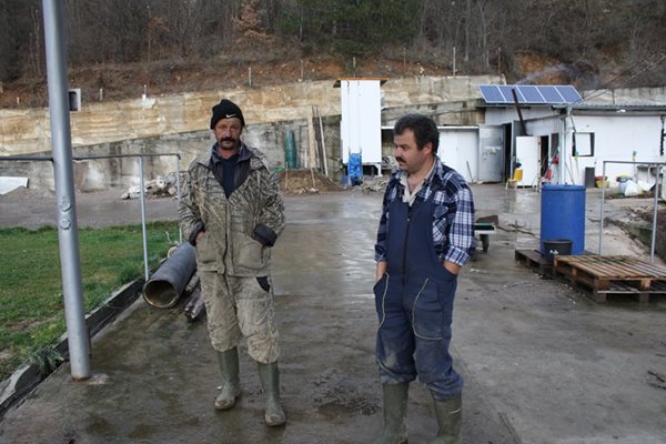 Пазачите на садковата инстлация Цвятко Шуменски (вдясно) и Стефан Калаканов са безсилни да опазят оцелелите риби.