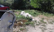 Циганин рецидивист изнасилил жената във Варна, издирват го