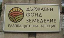 Разследват бивш служител в ДФ "Земеделие" - Кърджали за вземане на подкупи в Смолянско