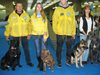 Кучета лечители и ловци на наркотици спорят за Световната киноложка купа в Пловдив
