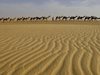След 100 години Сахара ще "позеленее"