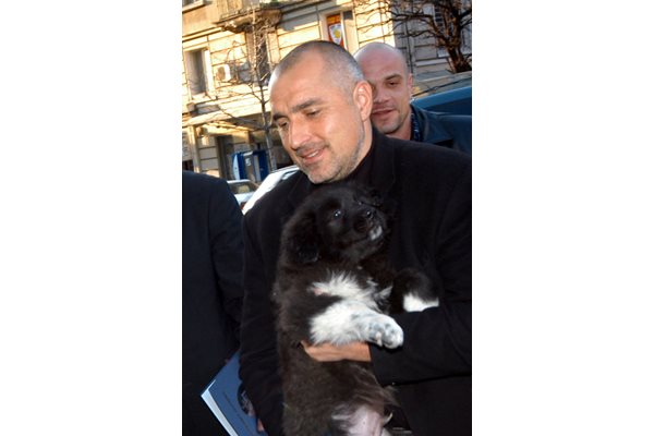 През 2004 г. тогавашният главен секретар на МВР Бойко Борисов подари на Доган куче каракачанка.