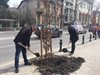 В центъра на Пловдив озеленяват, в "Южен" ударно асфалтират